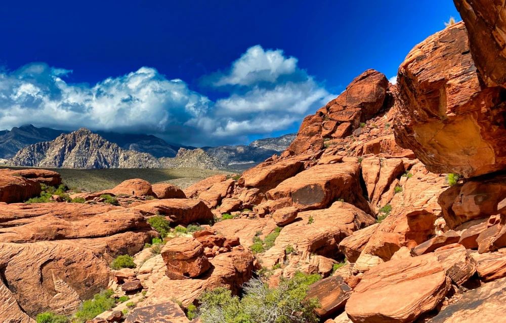 Nature and Adventure 